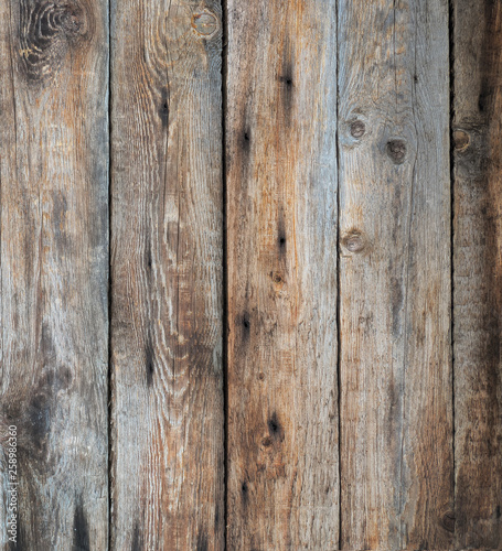 texture wall of old boards