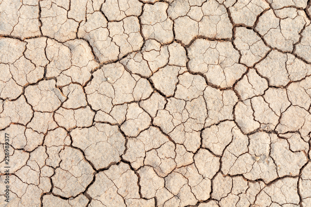 Soil drought cracks texture white background for design Soil drought cracks texture white background for design