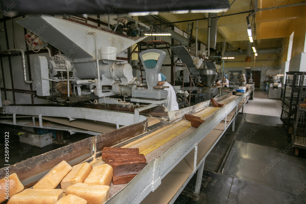 Manufacture of bread. Conveyor with dough. Capacity of the dough. Kneading dough at the bakery. Workshop of the manufacture dough.