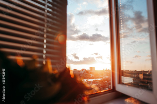 Bright evening sun in the open window