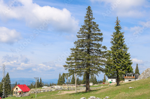 View of Bucovina region in Romania. Near Pietrele Doamnei. photo