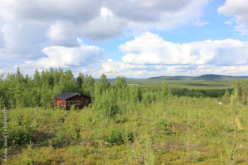 Obraz premium Szwecja