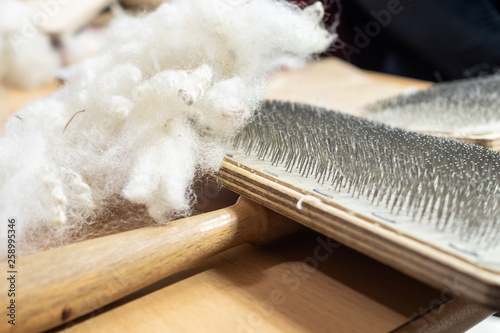 Raw fleece and carding brush for spinning