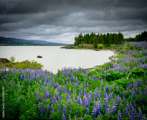 Lagarfljót white lake in Iceland