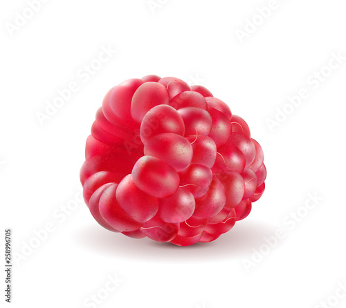 Ripe raspberries isolated on white background. Quality realistic vector. 3d illustraton