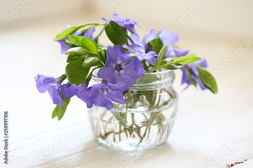 bouquet of blue flowers in glass vase on white background