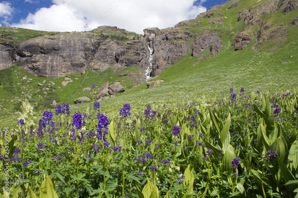 Obraz premium Waterfall in Meadow