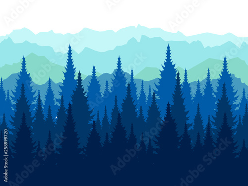 Fototapeta Landscape, tops of conifers