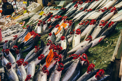 Fish laid out for sale on the market counter in Istanbul