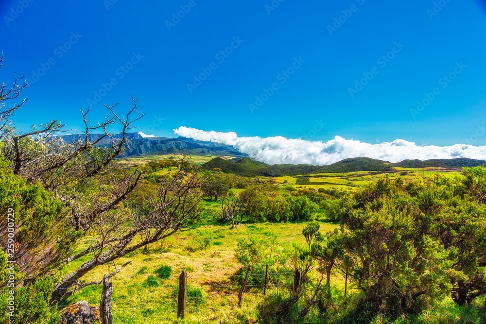 Panorama of the Plaine des Cafres with the Piton des Neiges in the background - Reunion Island - touristic site