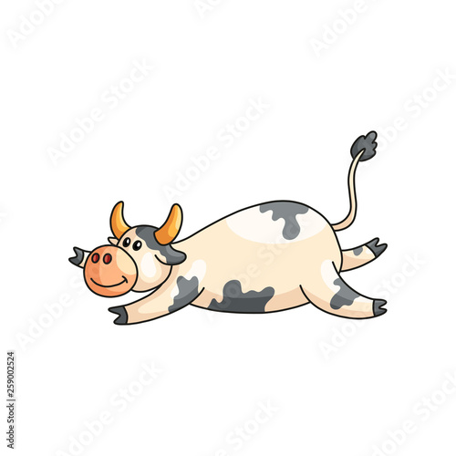 Funny satisfied lazy spotted cow lying on stomach isolated on white