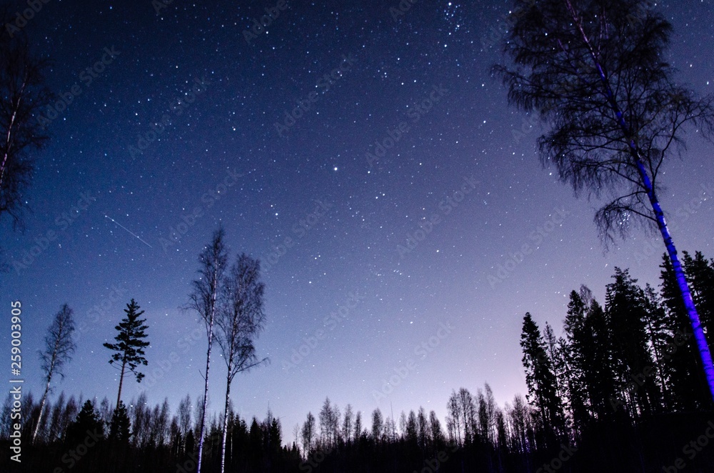 Starlight at the Finnish forest
