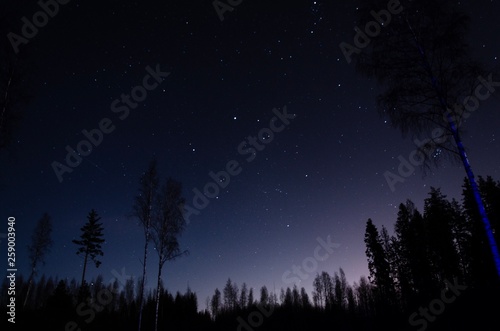 Starlight at the Finnish forest