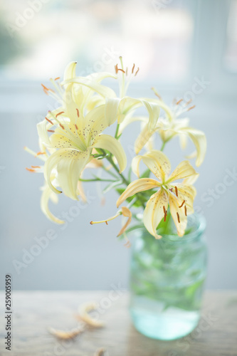 beautiful white and yellow lilies in a jar on a white background