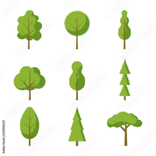 Set of trees - fir-tree  pine  oak. Flat style icons.