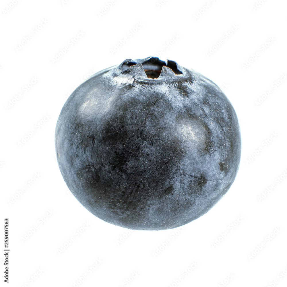 Single bilberry fruit isolated on white background Single bilberry fruit isolated on white background