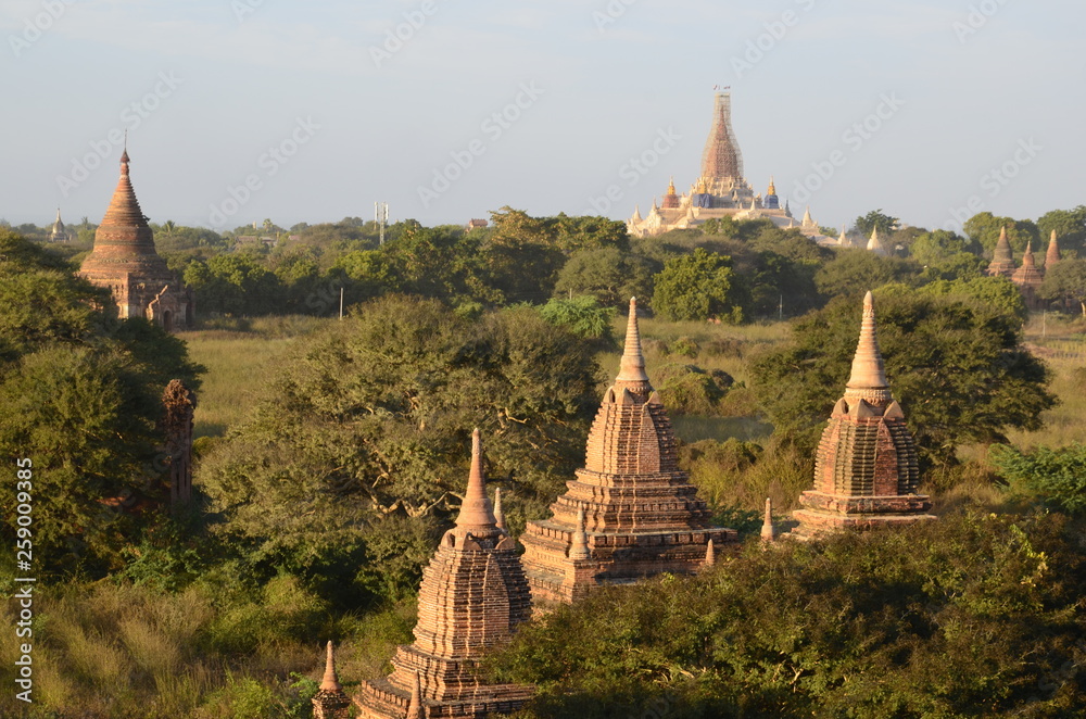 BAGAN