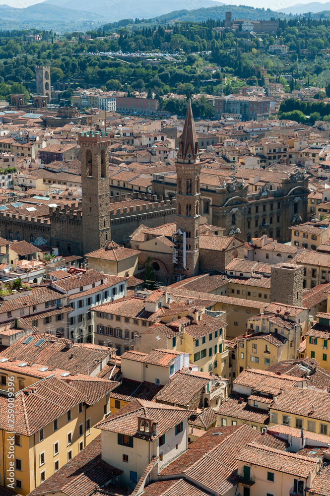 Bird view on Bargello museum Florence