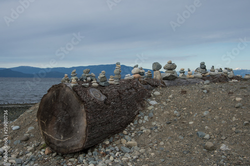 Parksville Bay Driftwood with Stone Figures photo