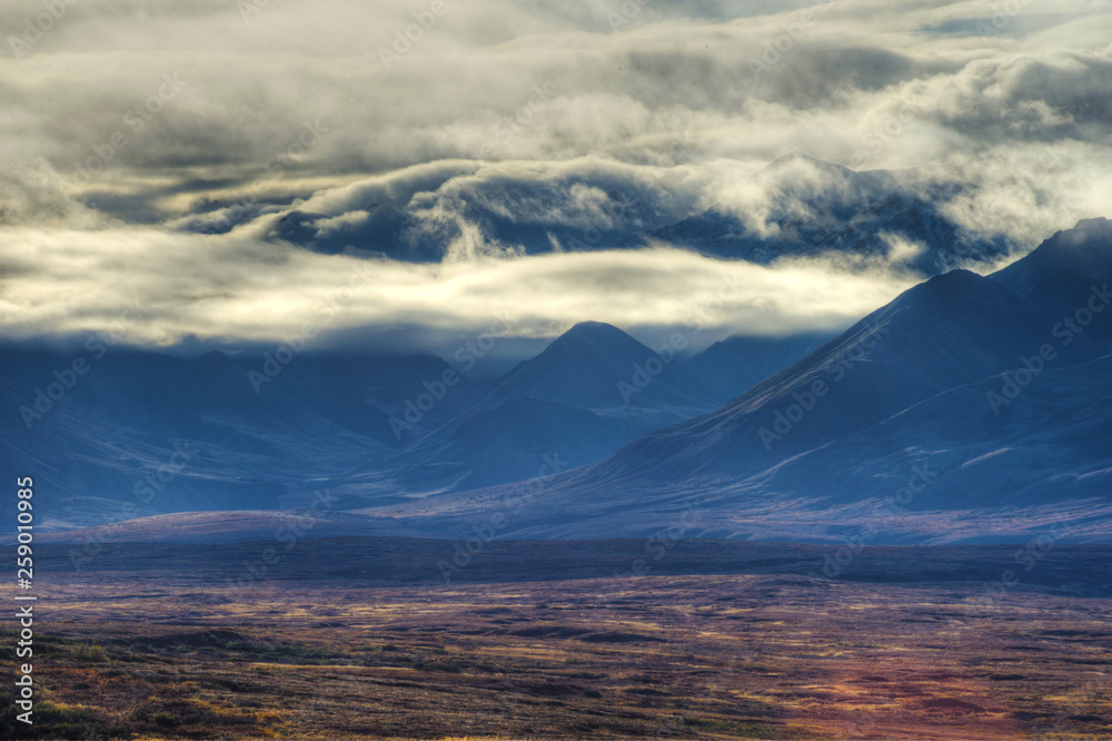 Scenic foggy landscape in Denali National Park.