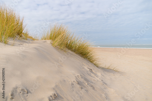 view over the dunes to the sea with blue sky