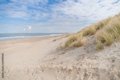 view over the dunes to the sea with blue sky