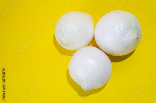 Set of onions on colorful background