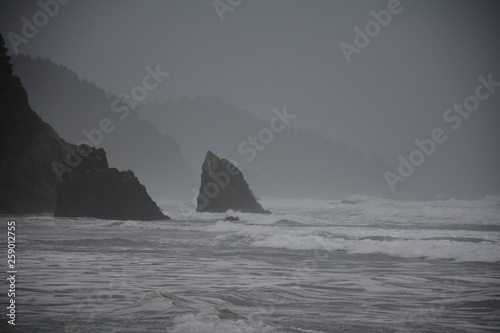 Oregon Coast in Fall