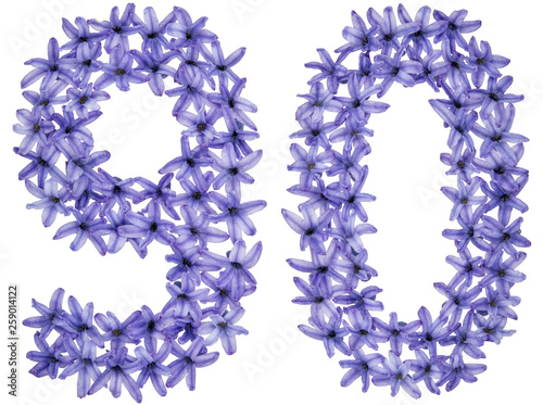 Numeral 90  ninety  from natural flowers of hyacinth  isolated on white background
