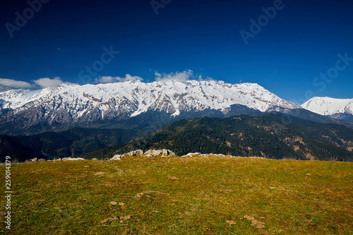 Snow covered mountain range in blue sky and green yellow grass at the foreground