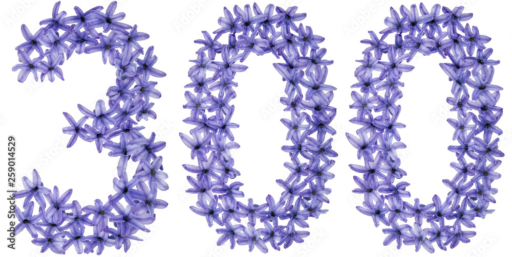 Numeral 300, three hundred, from natural flowers of hyacinth, isolated on white background