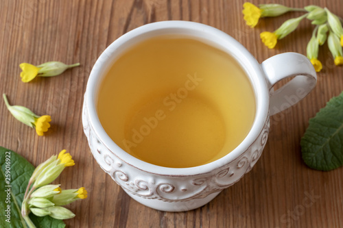 A cup of herbal tea with fresh primula flowers