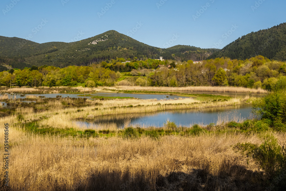 Bird watching in the Bird Center of the biosphere reserve of Urdaibai Bird watching in the Bird Center of the biosphere reserve of Urdaibai