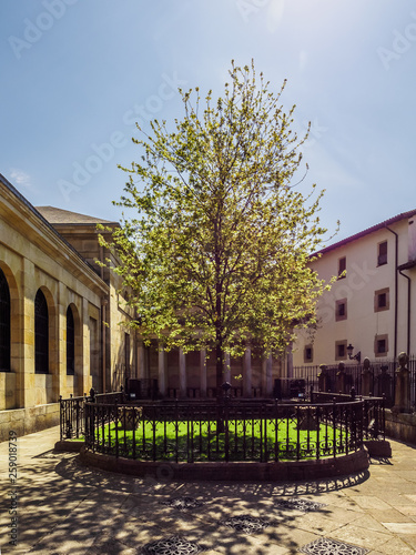 Εκτύπωση καμβά The Tree of Guernica (Gernika), Basque Country