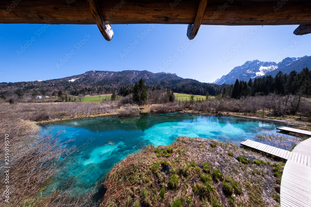 Lake Zelenci with observation trail and ponce mountains in Slovenia