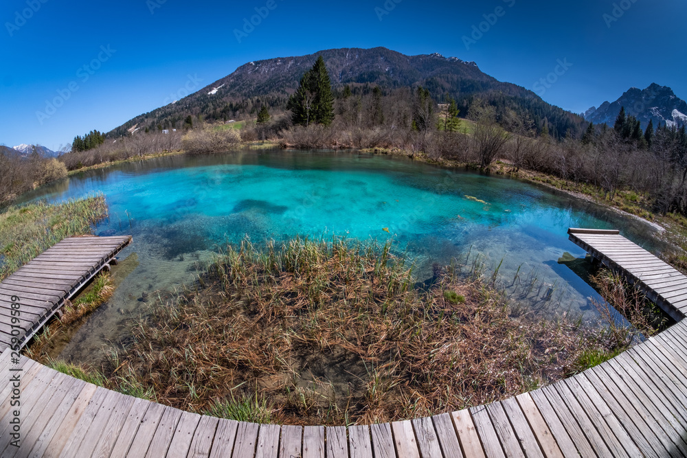 Fototapeta premium Lake Zelenci with observation trail and ponce mountains in Slovenia