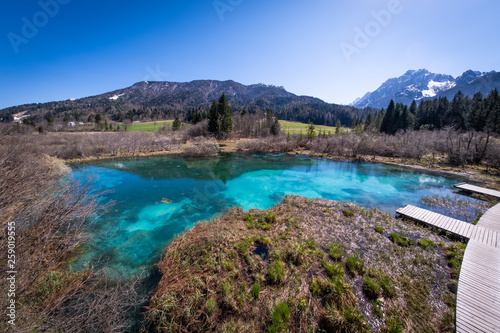 Lake Zelenci with observation trail and ponce mountains in Slovenia