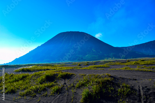 Wallpaper Mural Landscape agricultural field, the summer season, the car tracks on the ground, with a dramatic cloudy sky Torontodigital.ca