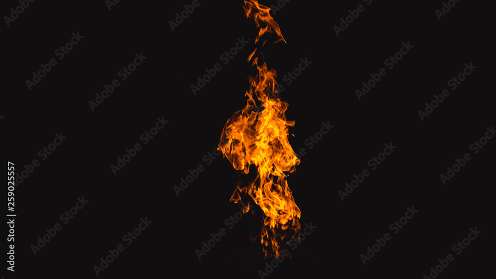 Eternal flame. Flame in the dark. Eternal flame. Flame in the dark.