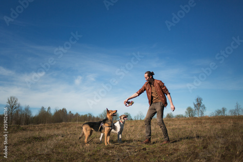 Photography A man with two dogs walking on a sunny meadow