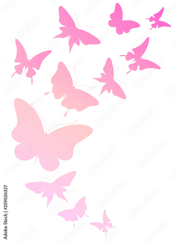 beautiful pink butterflies, isolated  on a white