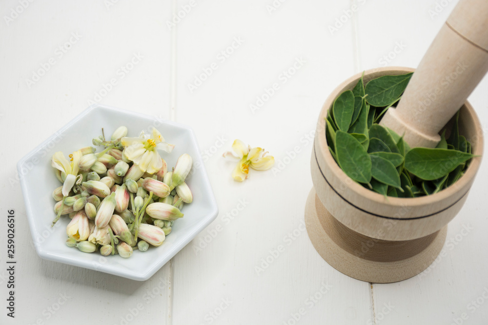 Fresh moringa leaves- Moringa Oleifera Fresh moringa leaves- Moringa Oleifera