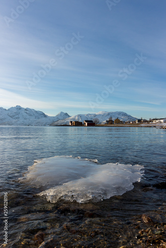 Eisscholle im Fjord