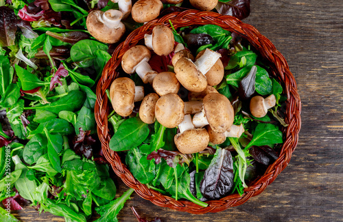 Healthy salad with Raw Champignons with vegan salad with raw mushrooms.