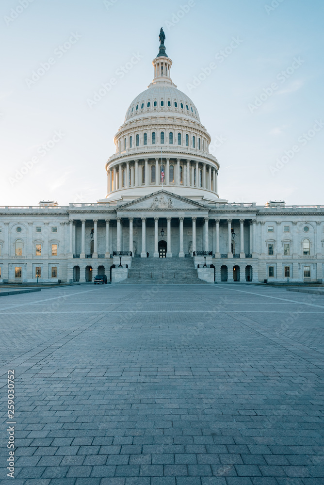 The United States Capitol, in Washington, DC