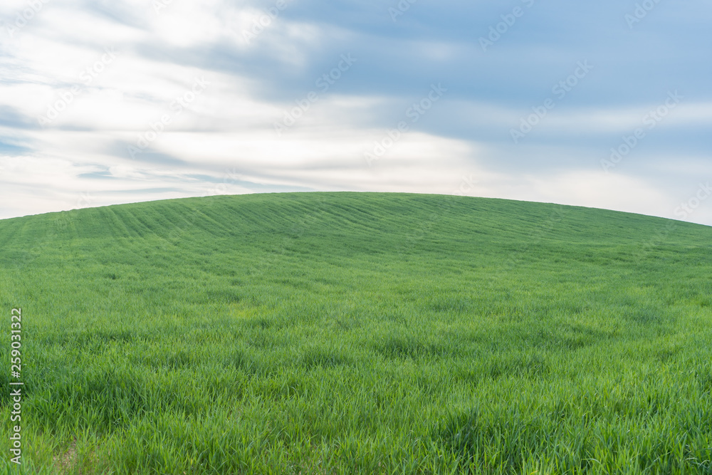 Green grass hill under blue sky
