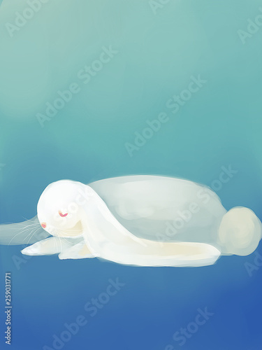 Cute Little Animals