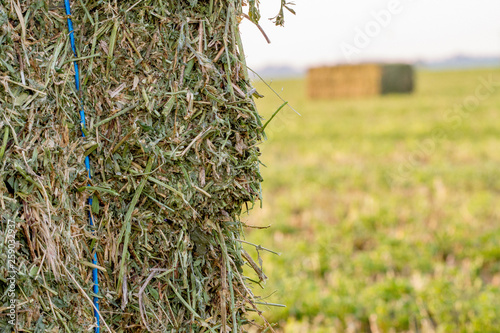Large Hay Bales in Field