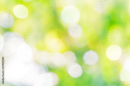 Abstract bright background from blurred blooming spring orchard