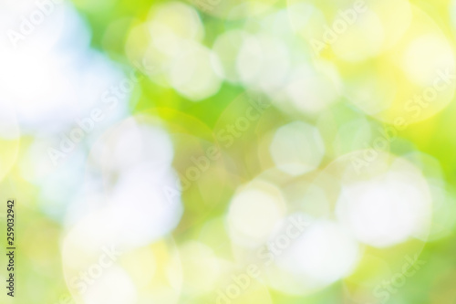 Abstract bright summer background of a blooming meadow